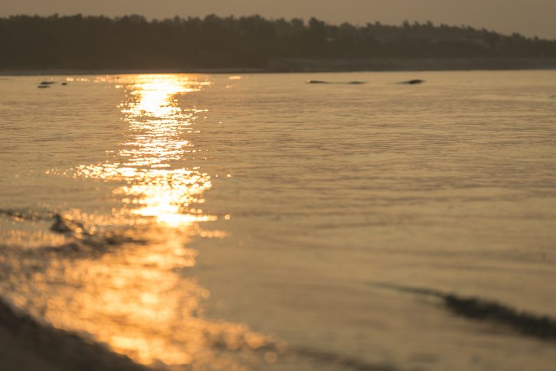 【ご滞在の参考に】年末年始の那覇の天気と初日の出情報