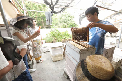 新垣養蜂園